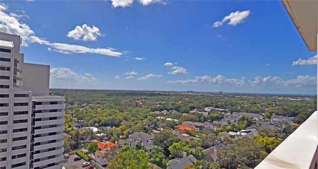 Building Photo - 4015 Bayshore Blvd