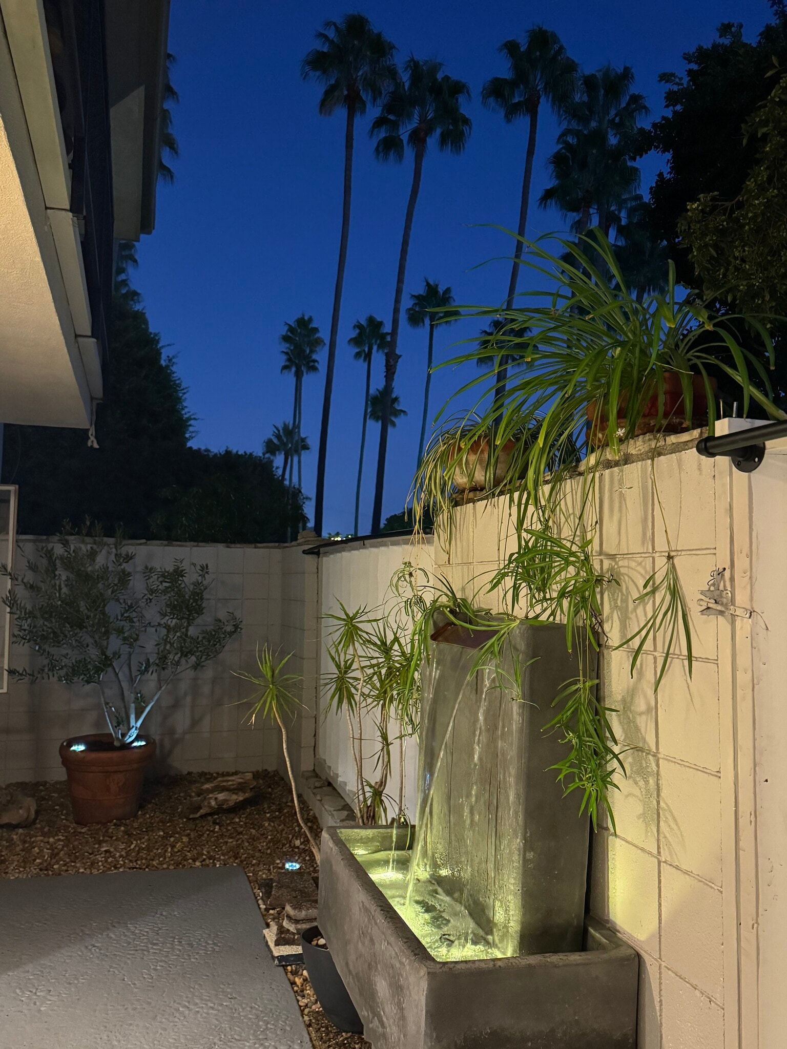 Patio - 241 S Barrington Ave