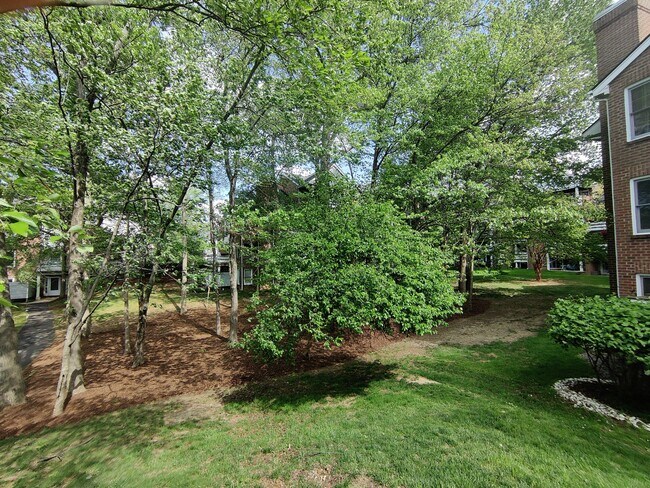 Building Photo - 3151D Covewood Ct