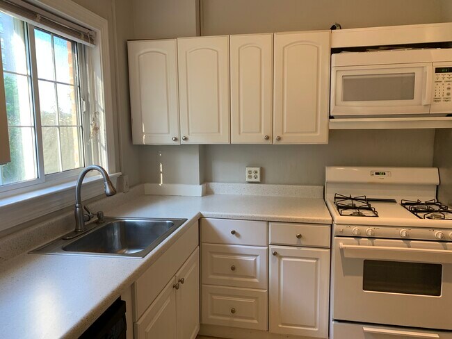 Sunny, updated kitchen with new appliances - 1226 Martha Custis Dr