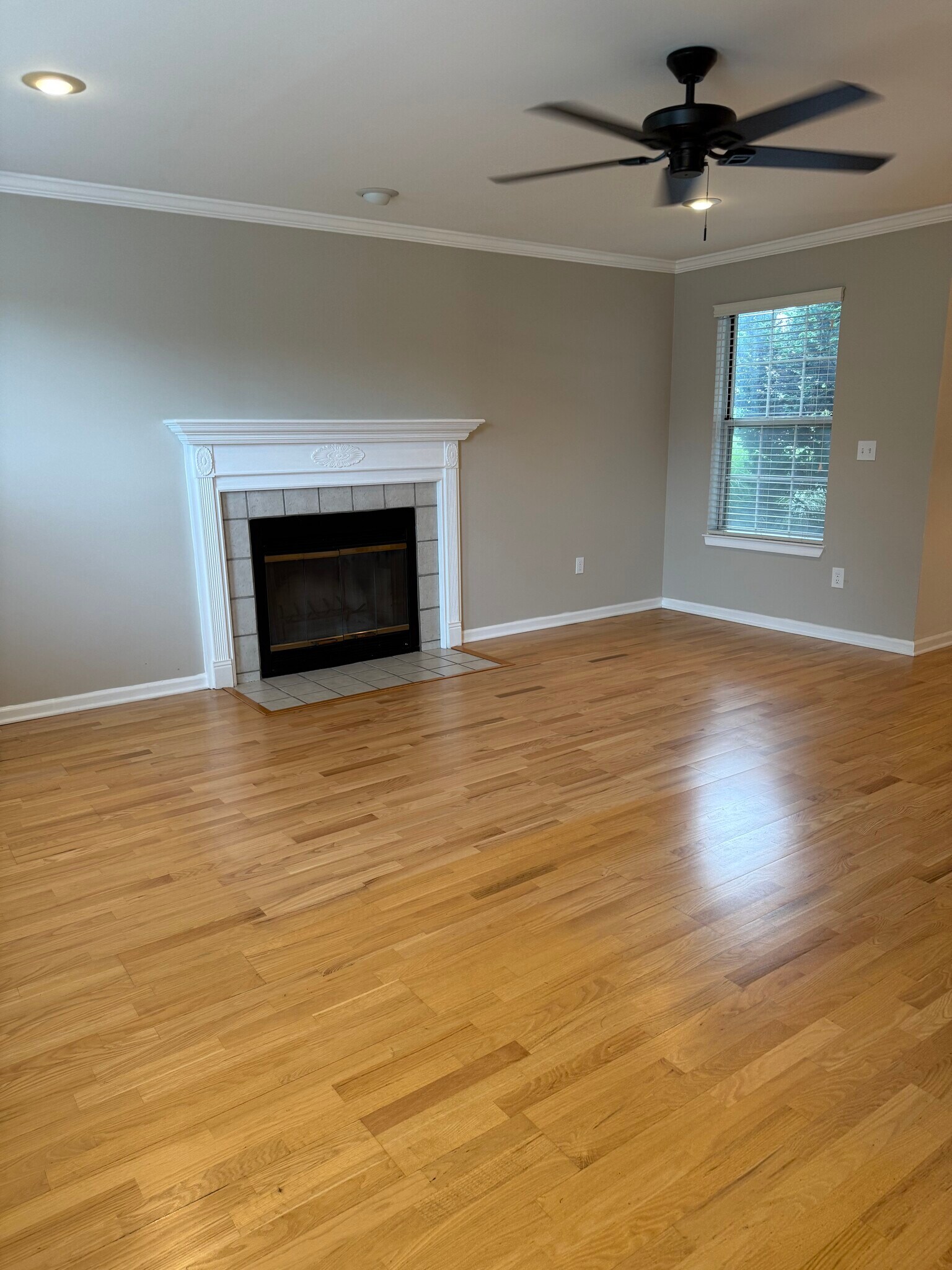 Building Photo - 1607 Briarwood Ln