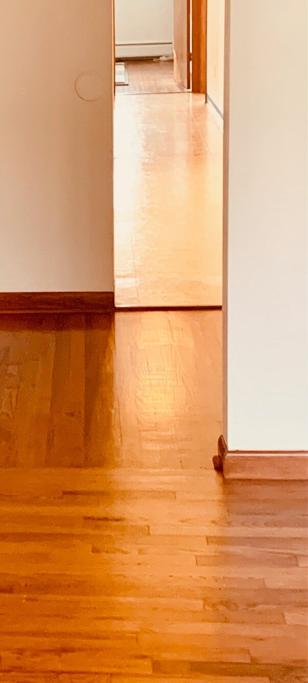 Hardwood floor in Foyer and Living Room - 203 5th St