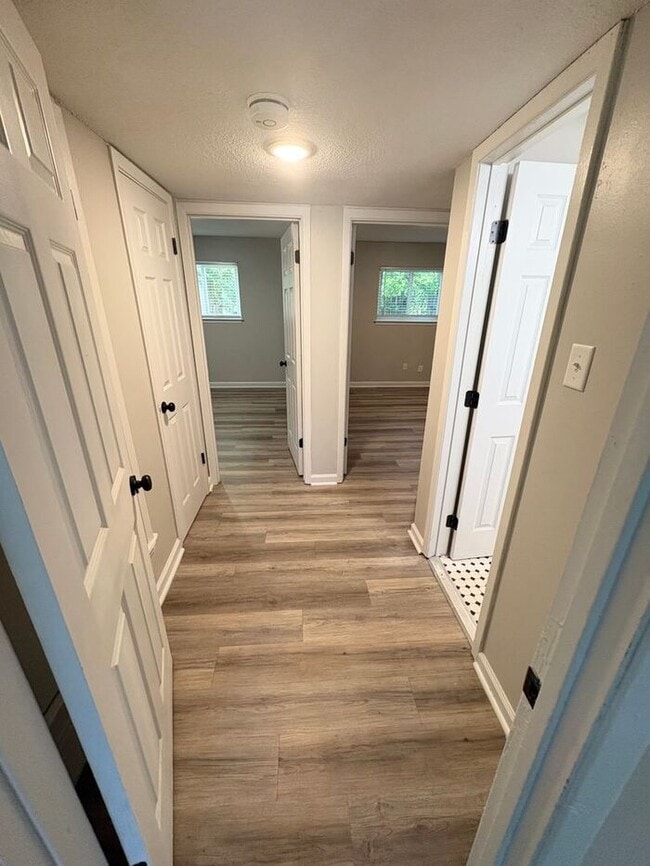 Building Photo - Steps from UofM & Highland Strip – First-Floor 2BR Apartment at The Den!