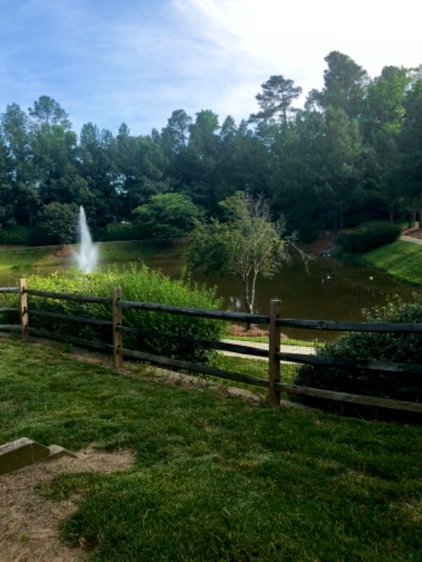 Building Photo - 10852 Holly Ridge Blvd