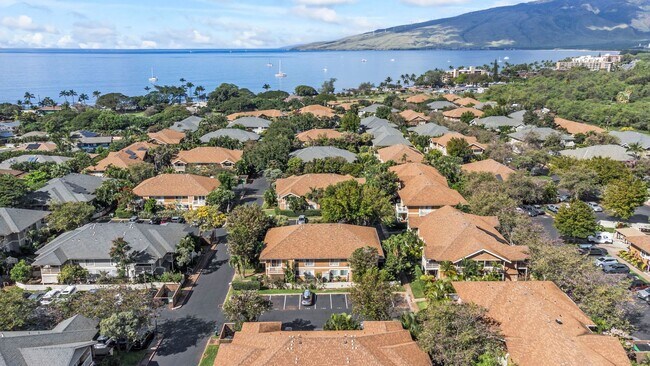 Building Photo - Beautifully Renovated Ground-Floor 2BR/1.5BA Condo in Kihei Villages – Furnished w/ 2 Parking Spaces