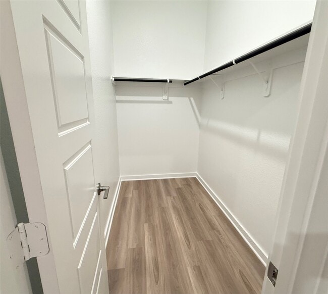 Building Photo - 3339 Silvery Bryum Dr