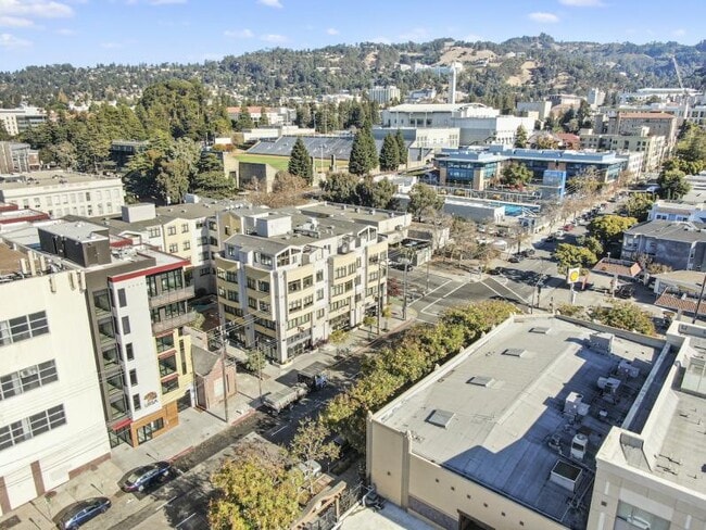 Building Photo - New Contemporary Sunny Apartment With Views