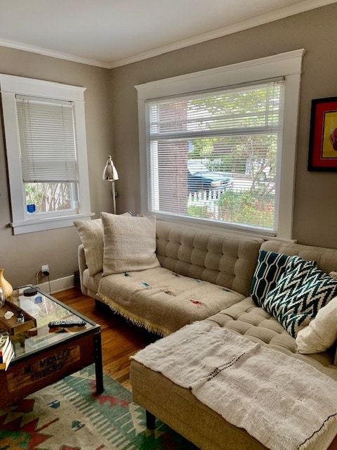 Living Room - 1234 22nd St