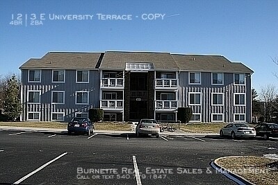 Primary Photo - 4 Bedroom Condo near Virginia Tech