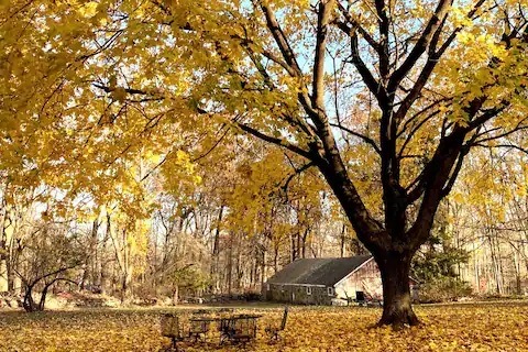 The view from your 7' x 7' window - 8 Freshwater Ln