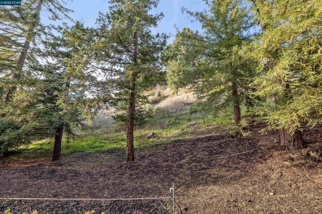 Building Photo - 4104 El Nido Ranch Rd