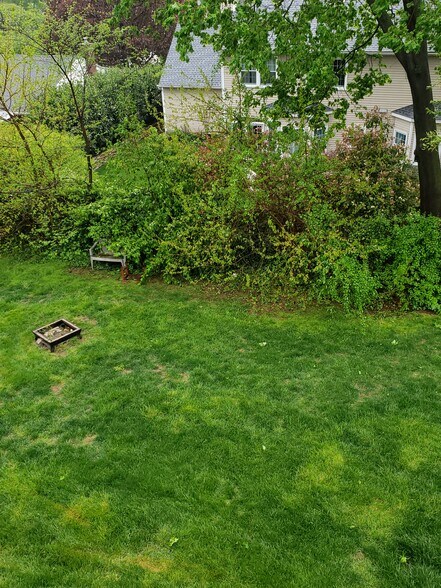 Back Yard Left Side - 426 N Essex Ave