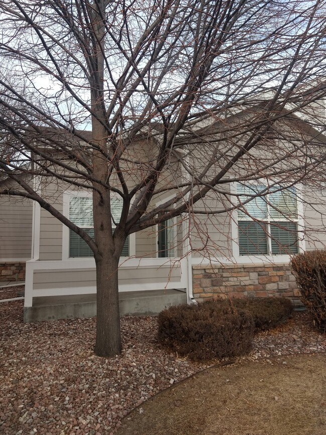 Building Photo - Magnificent and Spacious 2 bed/3 bath in G...