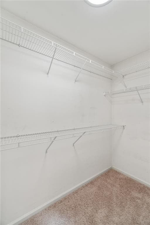 Building Photo - 3616 Creek Harbor Ct