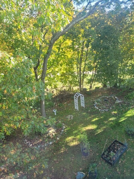 yard view - 23 Desmond Rd