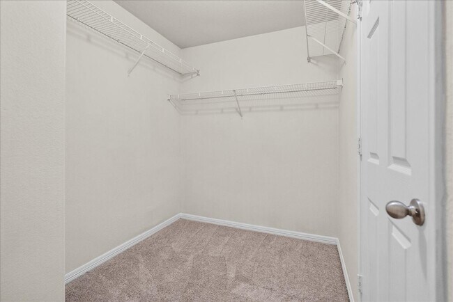 Building Photo - 2834 Arica Ln