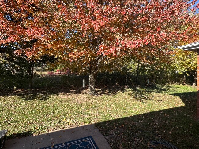 Building Photo - 647 S Hazelnut Ave