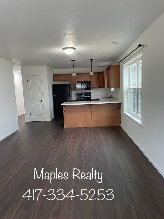 Building Photo - NEW CONSTRUCTION SINGLE FAMILY HOME ~  3 bed, 2 bath HOME in Hollister MO