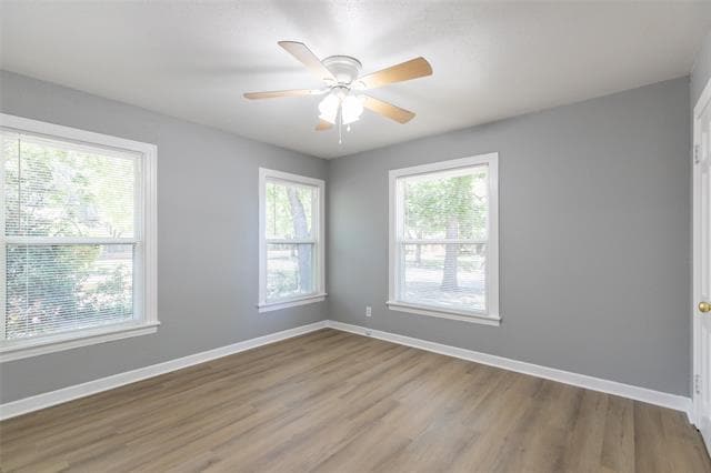 Building Photo - 473 College Dr