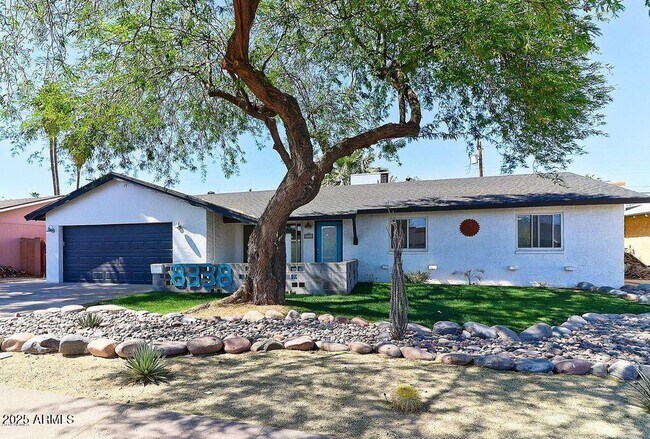 Primary Photo - 8338 E Granada Rd