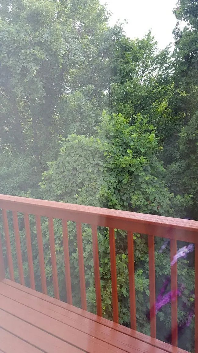 Building Photo - 1405 Cain St