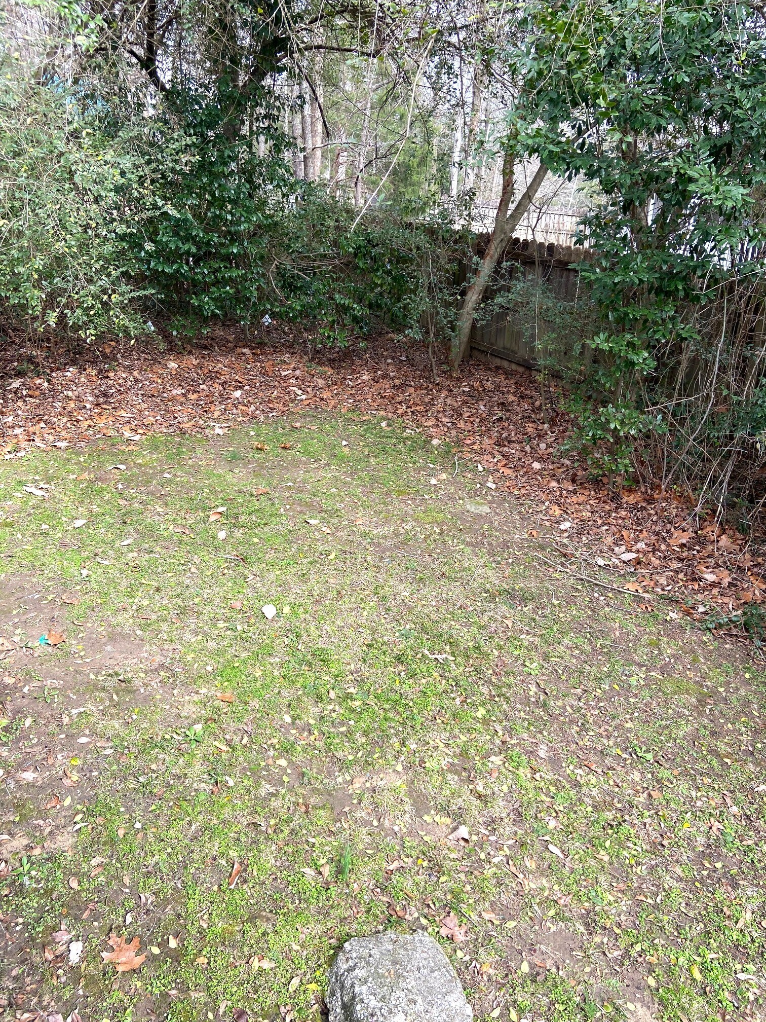 Building Photo - 223 Cambo Ter