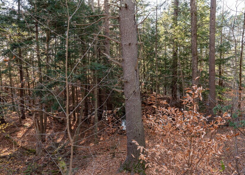 Building Photo - 8 Western Ave