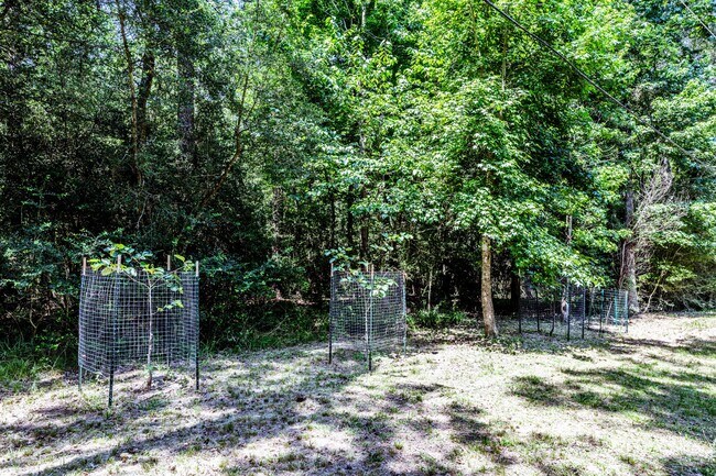 Building Photo - 1002 Amesbury Ct