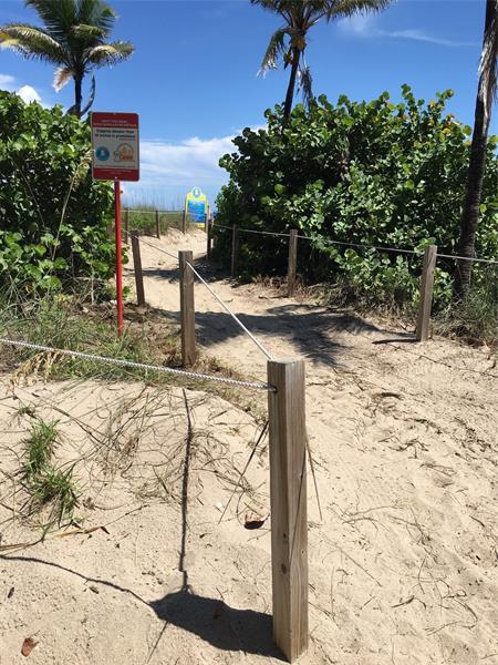 Building Photo - 4565 N Ocean Dr