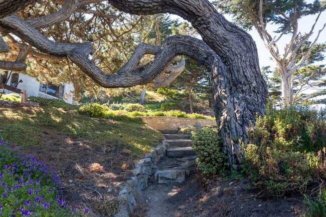 Building Photo - Bonnie's Point | Home Next to Point Lobos State Natural Reserve
