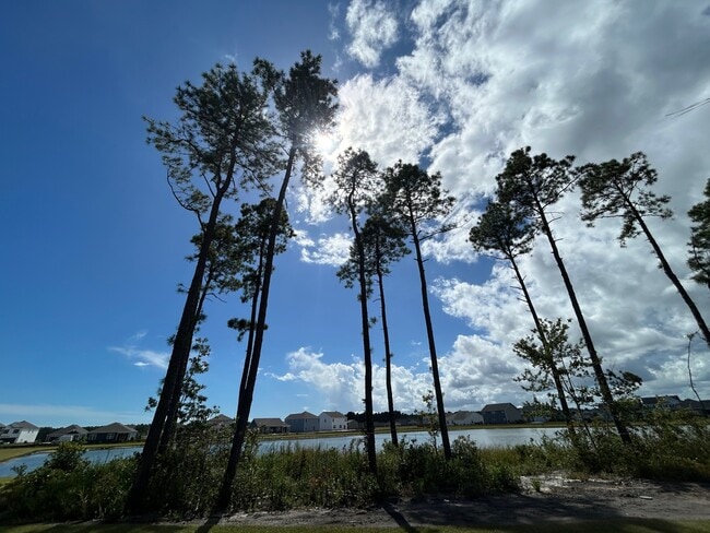 Building Photo - 1237 Pampas Grass Dr