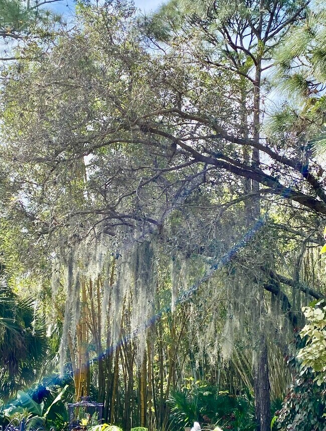 Building Photo - 206 Osprey Preserve Blvd