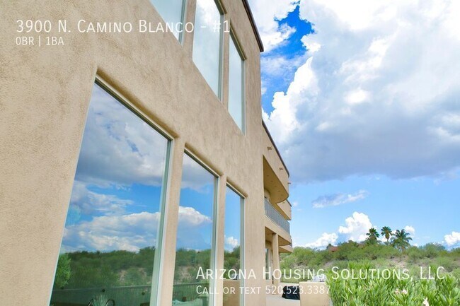 Building Photo - 3900 N Camino Blanco
