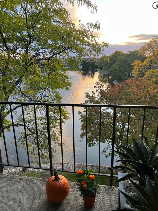 Building Photo - 2150 Valencia Dr