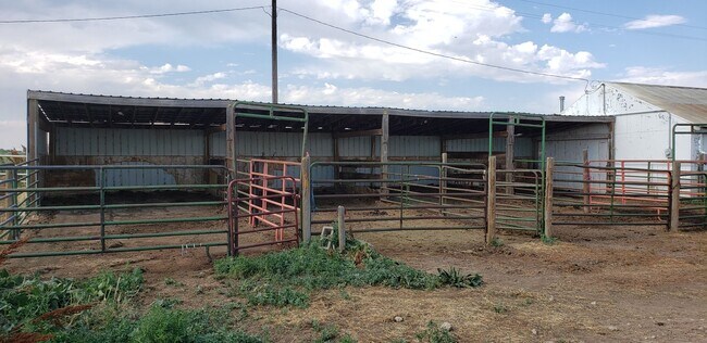 Building Photo - 4 Bedroom Horse Property on 3 acres close to downtown Ault
