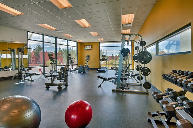 Building Photo - Cactus Forty-2