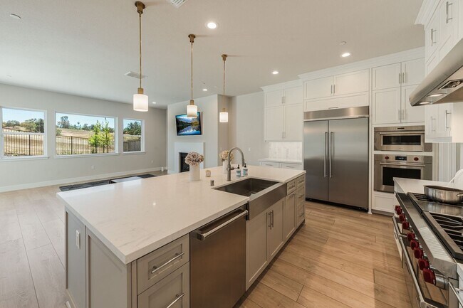 Building Photo - Newly Built 5BR Luxury Home in El Dorado Hills – 3,926 Sq Ft!