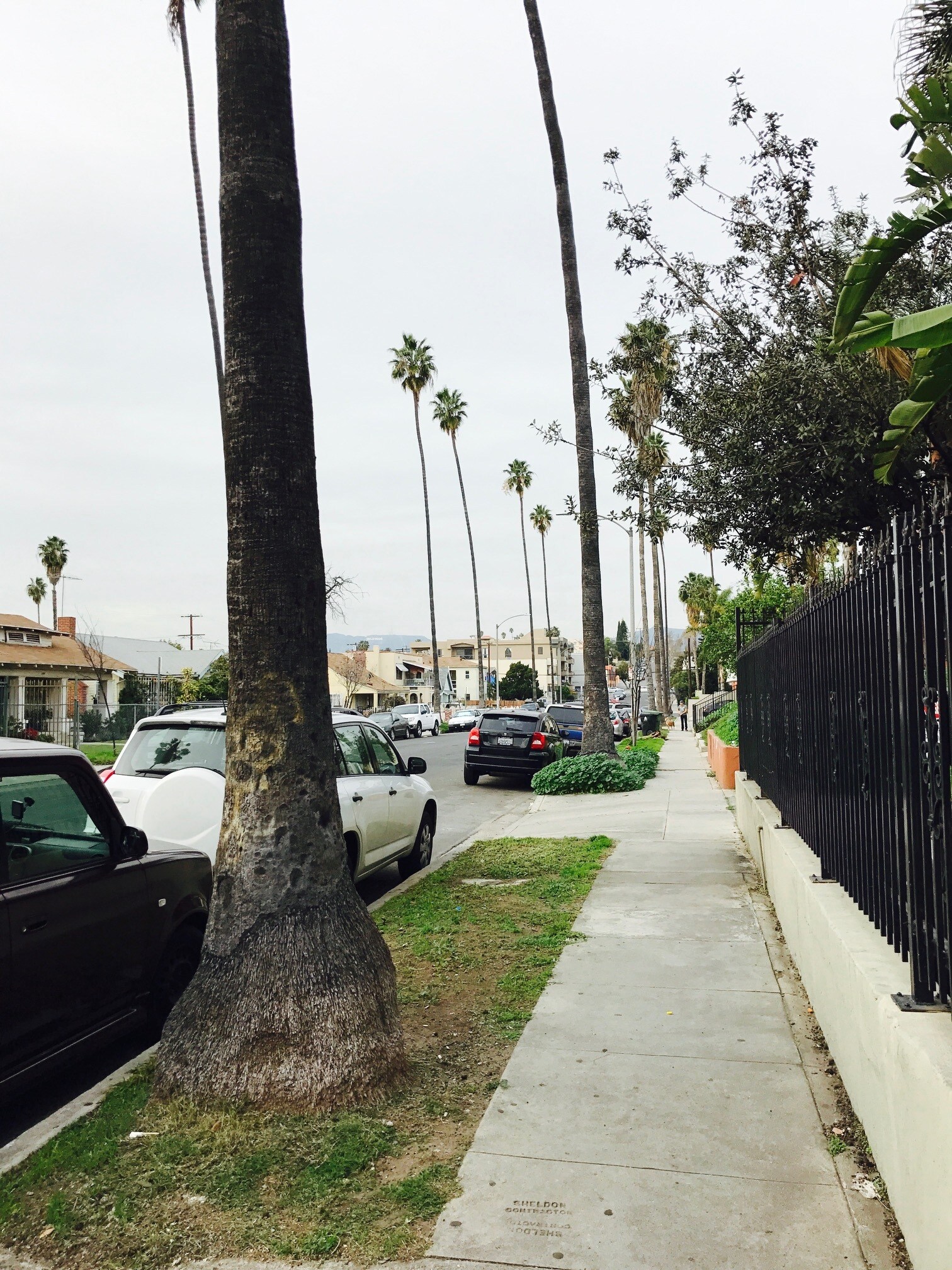 The view down the street - 136 N Mariposa Ave