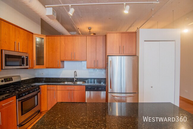 Building Photo - 333 W Hubbard St