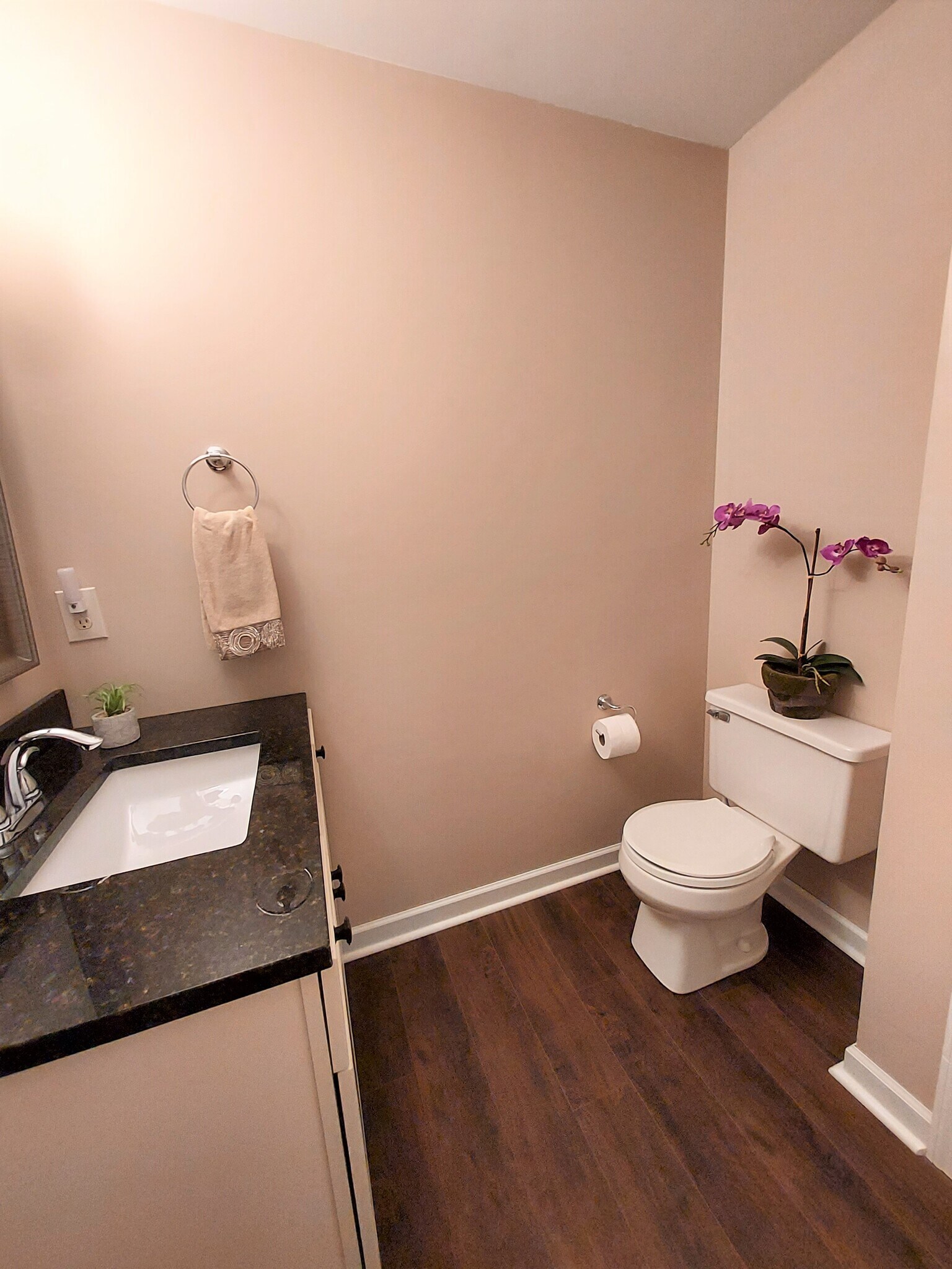 Downstairs Powder Room for Guests - 11531 Jade Ln SE