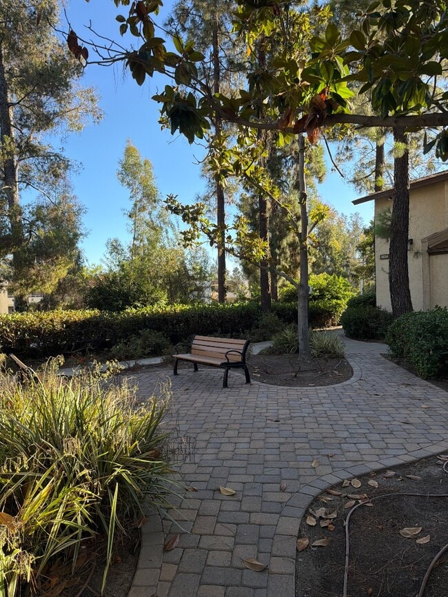 Building Photo - 10206 Black Mountain Rd