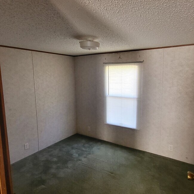 Building Photo - 710 Blue Bird Dr