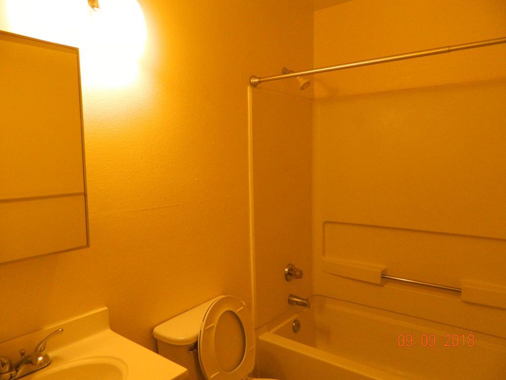 Building Photo - 1113 Circle City Dr