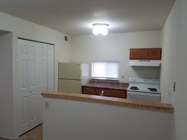 Kitchen - 1104 Olive Village Ct