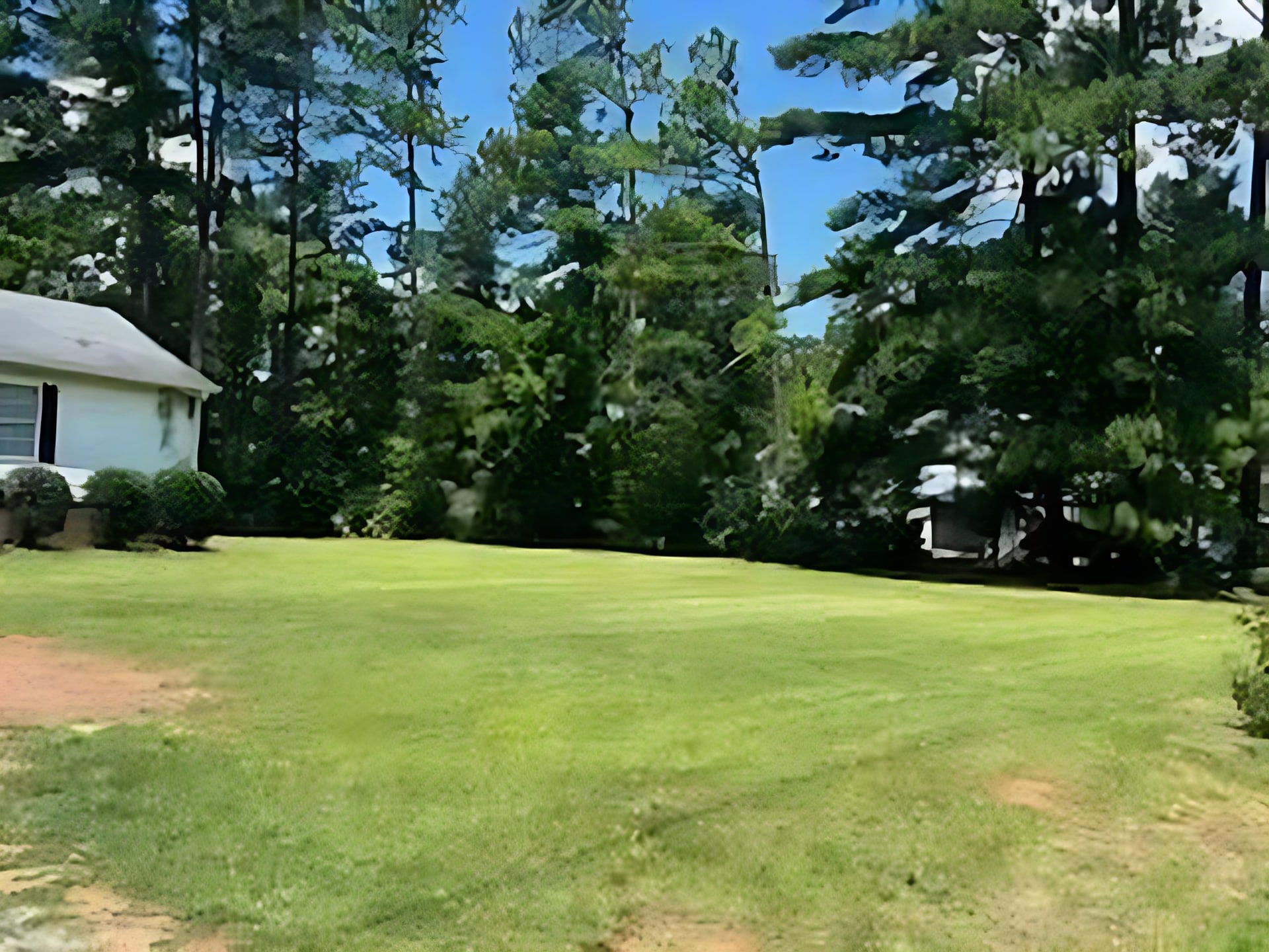 Big and beautiful front lawn. - 8936 Turner Dr