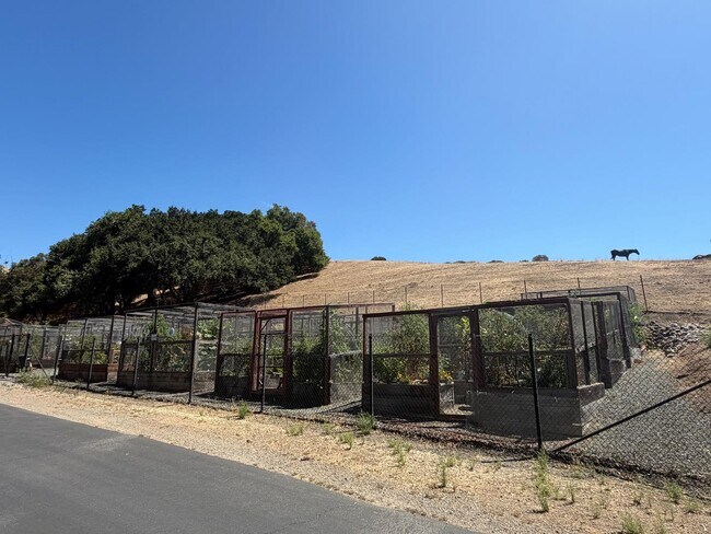 Building Photo - 7759 Beltane Dr