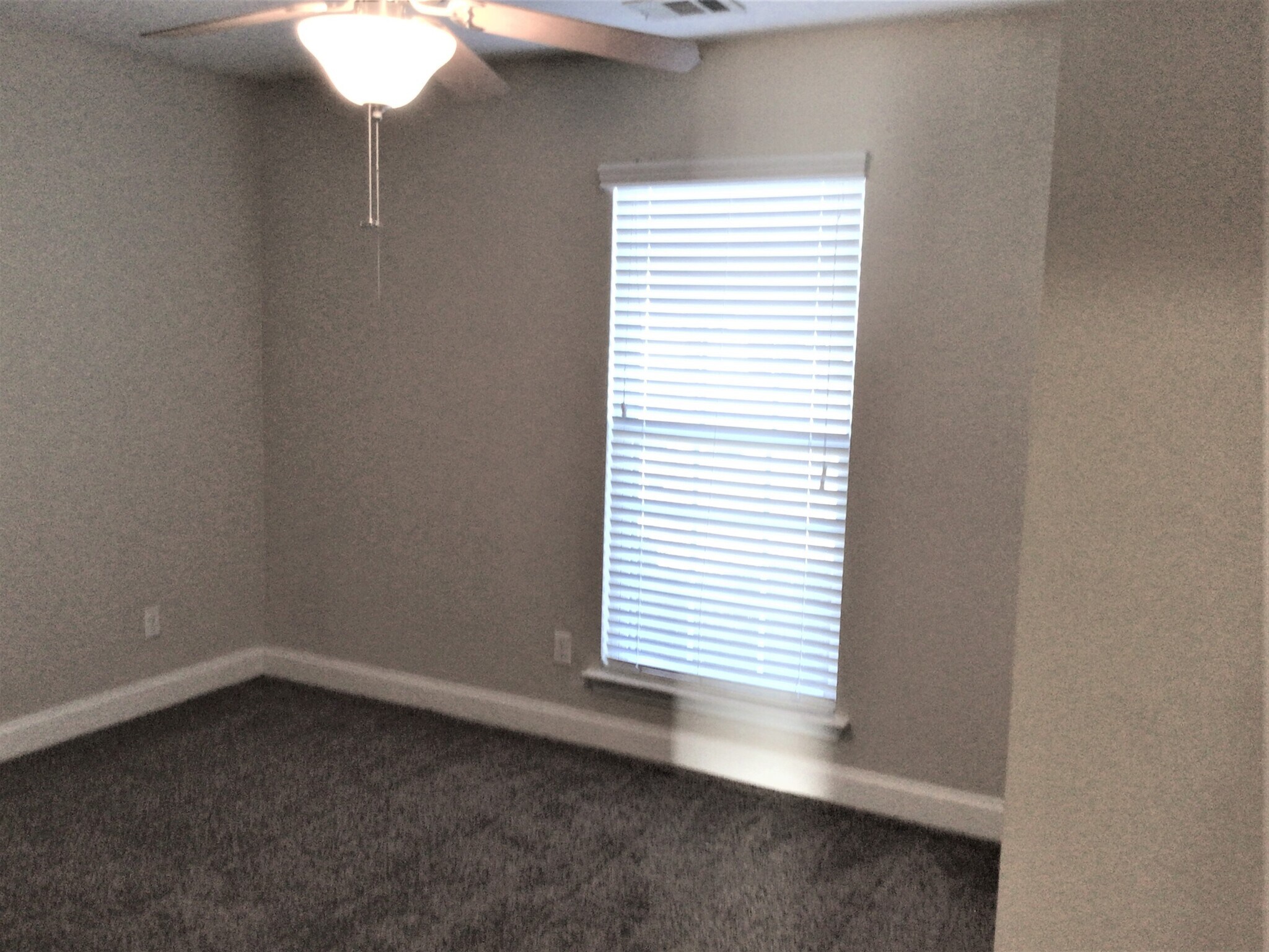 Building Photo - 133 Ohara Dr