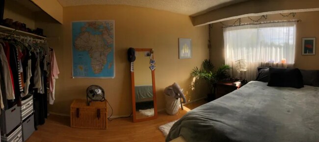 Building Photo - 1019 Lenora Ct