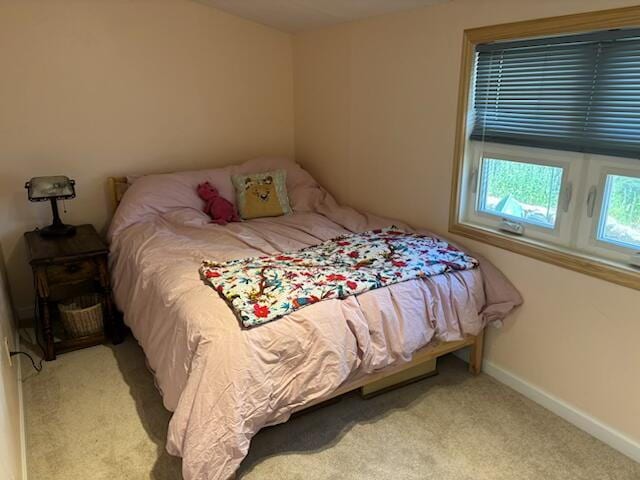 Building Photo - Cozy 2 Bed house near main street in Buena Vista - Allows pets! All Utilities included