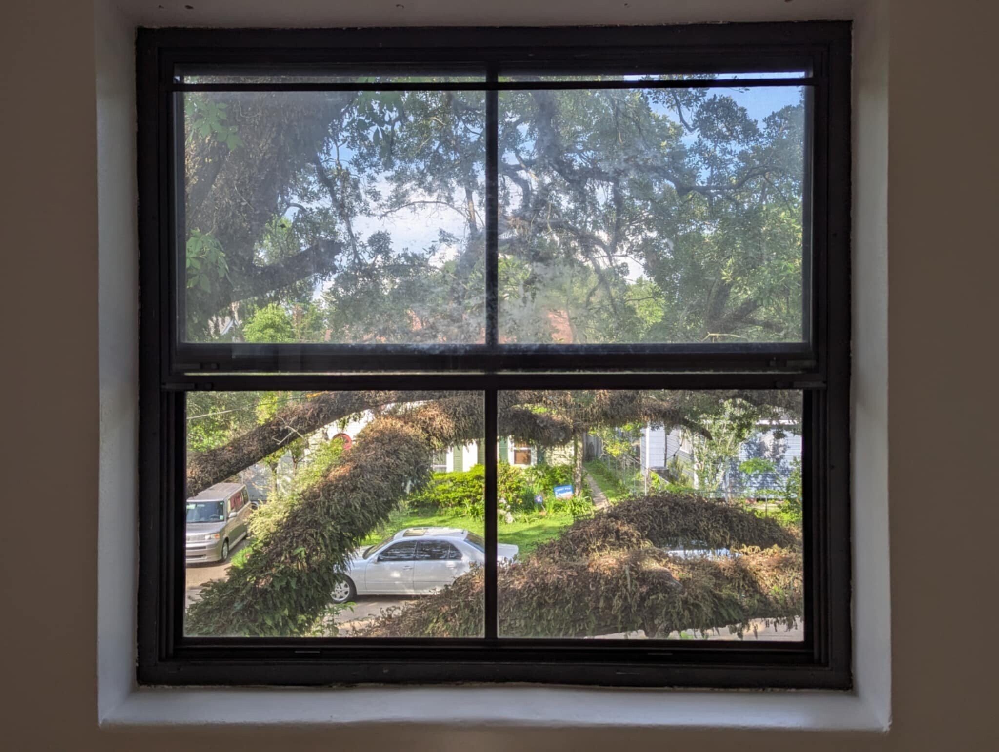 Building Photo - 207 Adrienne St